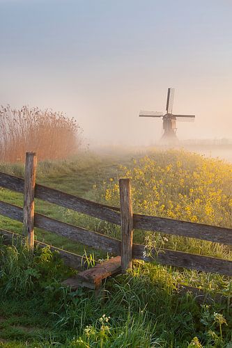Mistige morgen bij de Broekmolen