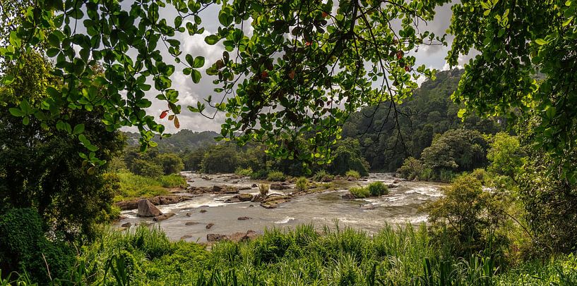 Sri Lanka betovert met zijn glooiende theeplantages en talloze watervallen die verscholen liggen in de groene hooglanden. van Patrick Fotografeert