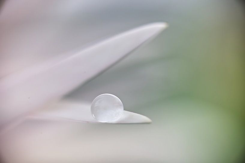 pastelliger Touch von Inge Groters