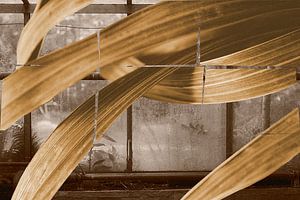 Sepia Chemistry