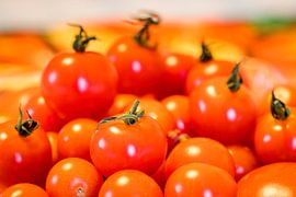 Tomates sur Rob Boon