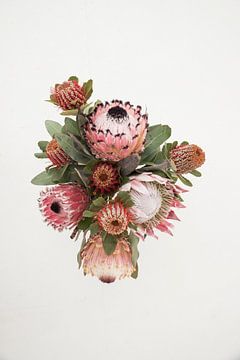 Stilleven met roze bloemen van Lotte de Graaf