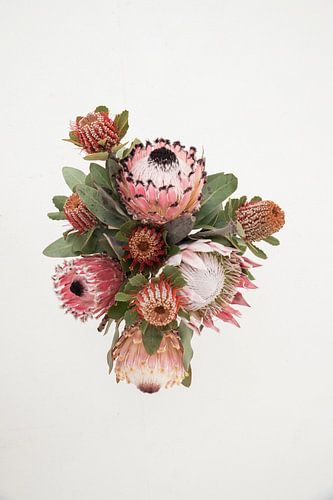 Still life with pink flowers