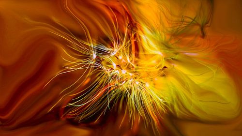 Das geheime Leben der Pflanzen Nr. 2