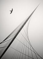 CALATRAVA BRUGGEN IN DE MIST