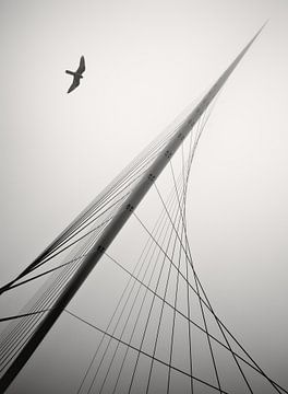 CALATRAVA BRUGGEN IN DE MIST von Fons Bitter