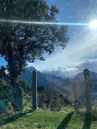 Bergblick von LaLuna ART