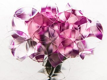 abstracte anjer van Marjolijn van den Berg