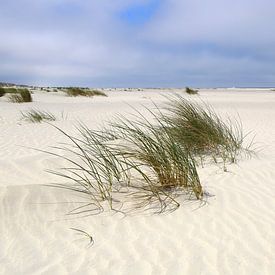 Sandwellen am Nordseestrand Juist von Ursula Reins