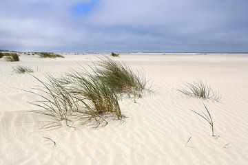 Zandgolven op het Noordzeestrand Juist van Ursula Reins