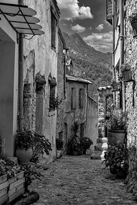 Sainte Agnes