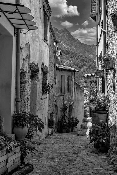 Sainte Agnes von Peter Bartelings