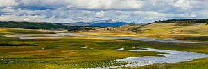 Panorama Hayden Valley, Yellowstone N.P., Wyoming
