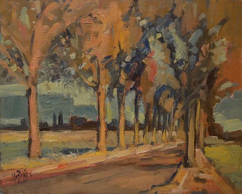 Weg naar Prise d'Eau Golf