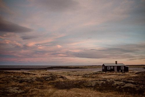 IN THE MIDDLE OF NOWHERE