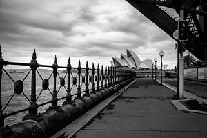 L'opéra de Sydney en noir et blanc sur Michael Bollen