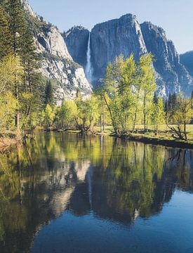 Yosemite Falls reflection by Loris Photography