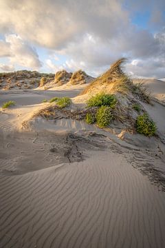 Zee, duin en strand, leven aan de kust! sur Dirk van Egmond