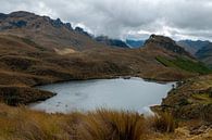 Ecuador: El Cajas National Park (Azuay) van Maarten Verhees thumbnail