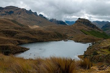 Ecuador: El Cajas National Park (Azuay) von Maarten Verhees