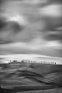 Toscane avec collines et champs en noir et blanc sur Manfred Voss, Schwarz-weiss Fotografie
