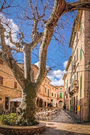 Altstadtgasse im Dorf Fornalutx, Mallorca