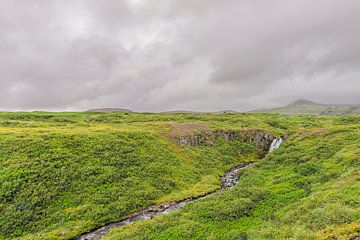 Hundafoss waterval in de regio Skaftafell, IJsland van Sjoerd van der Wal Fotografie