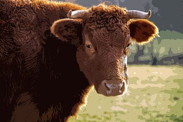 Dexter koe in aquarel van Franke de Jong