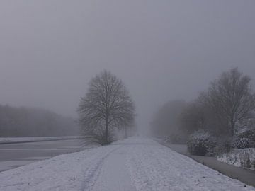 Kanaaldijk in de winter