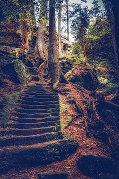Treppe mitten im Wald zwischen Felsen und Sandsteinen von Jakob Baranowski - Photography - Video - Photoshop