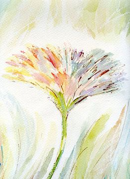 Blüte Zart Nelke - Bloem Delicate Kruidnagel von Claudia Gründler