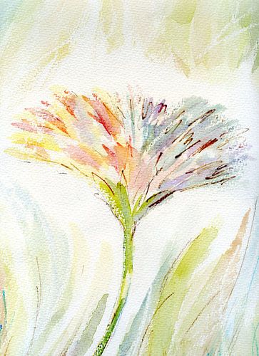 Bloem Delicaat