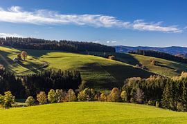 Hochschwarzwald bei St. Peter im Herbst von Werner Dieterich