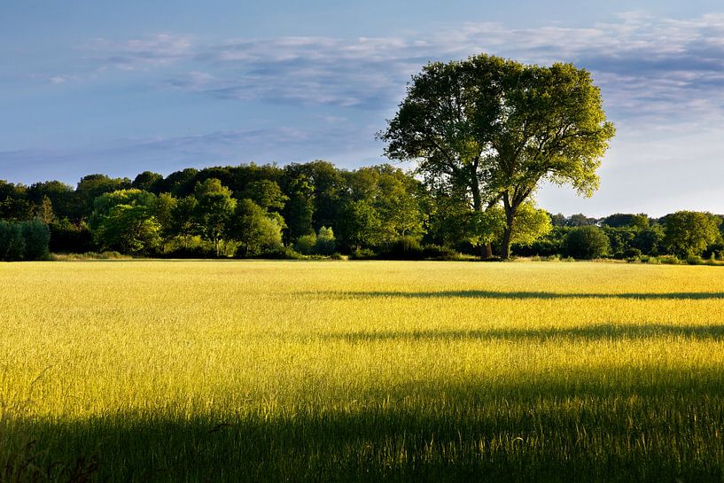 Landscape in Gelderland, Netherlands by Adelheid Smitt