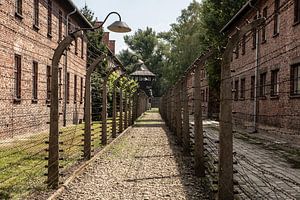 bâtiments et clôtures d'auswitz