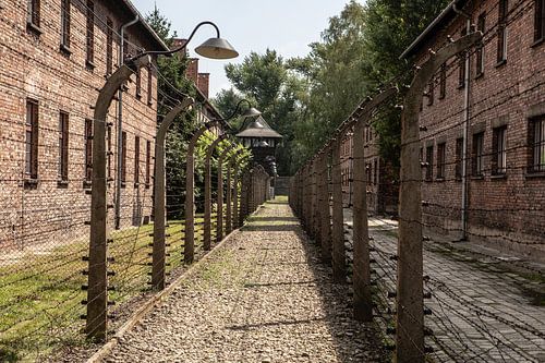 bâtiments et clôtures d'auswitz