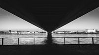 Under the Severinsbrücke