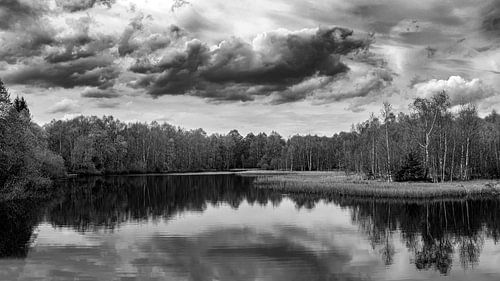 Waterreflectie op de hei | Rhön