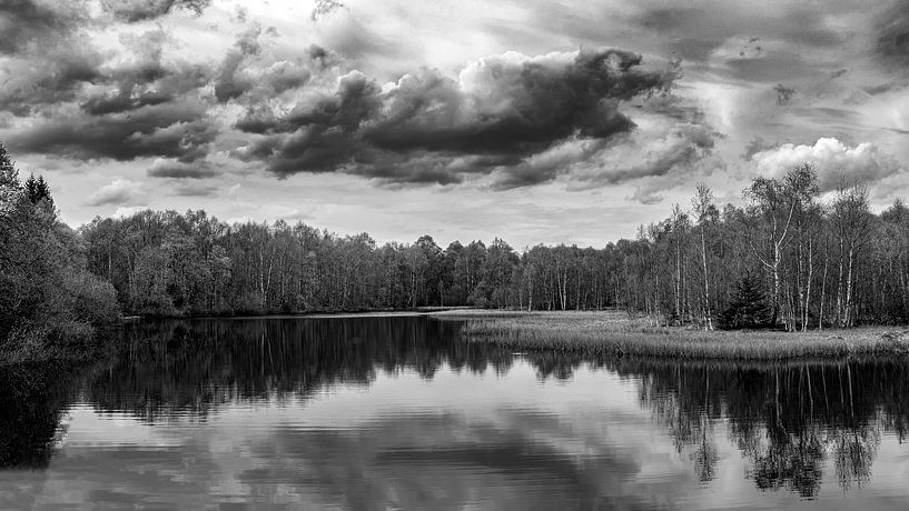 Wasserspiegelung am Moor | Rhön von Flatfield