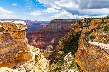 Grand Canyon - Geel en Rood van Remco Bosshard