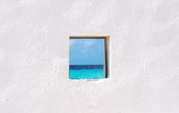 A view of bonaire