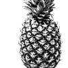 Ananas van MirjamCornelissen - Fotografie