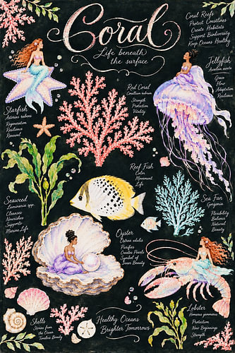 Coral – La vie sous la surface