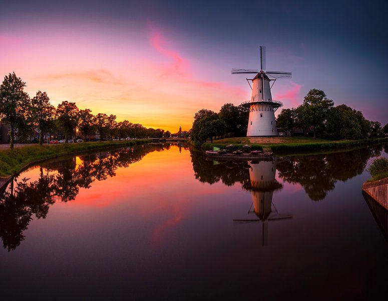 Any Colour You Like von Thom Brouwer