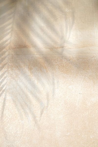 Ombrage de palmier sur un mur beige en Italie par Henrike Schenk