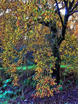 Cascading Branches December Umbria