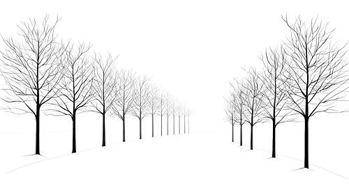 Winter landscape with bare trees