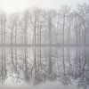 Mistige reflectie van bomen van Cor de Hamer