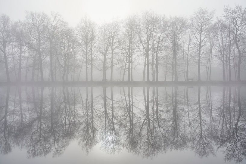 Foggy reflection of trees by Cor de Hamer