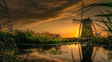 Mill in Kinderdijk by Rene Siebring
